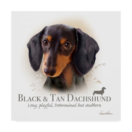 Howard Robinson 'Black And Tan Dachshund' Canvas Art,14x14